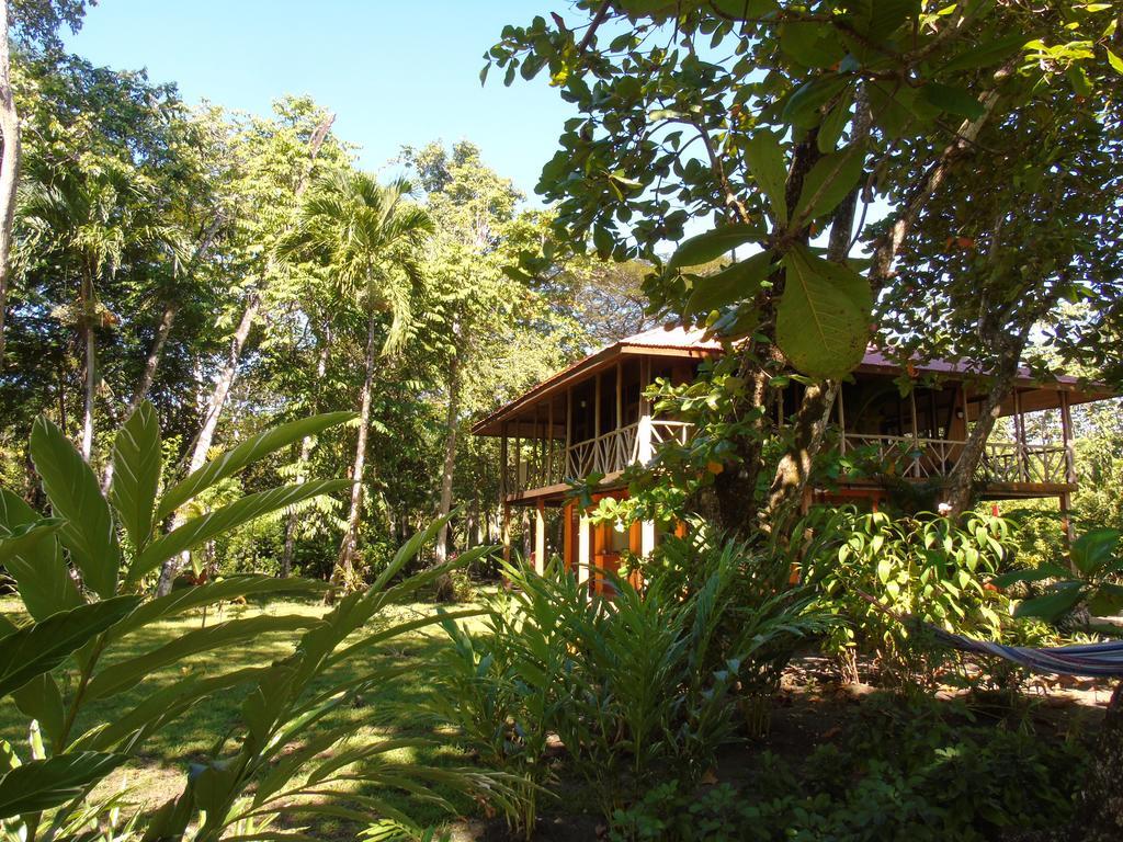 Bed and Breakfast Punta Preciosa Пуэрто-Хименес Экстерьер фото